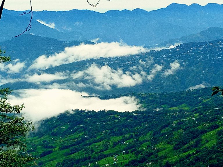 dkt view